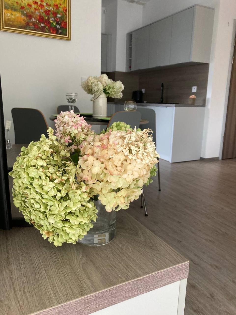 Apartment Gloria ポビエロボ エクステリア 写真